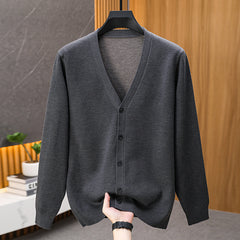 Men’s Versatile V-Neck Casual Sweater
