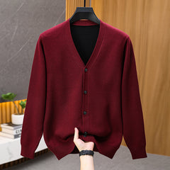 Men’s Versatile V-Neck Casual Sweater